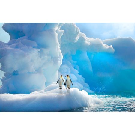 11月“世界尽头•南极半岛”极致风光摄影创作之旅