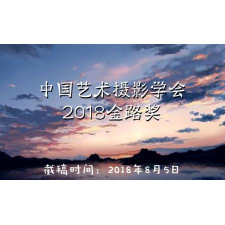 中国艺术摄影学会2018金路奖