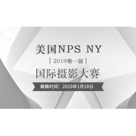 2019第一届美国NPS NY国际摄影大赛
