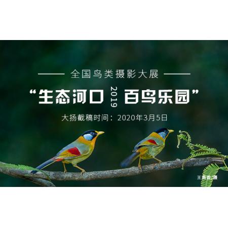 2019“生态河口 百鸟乐园”全国鸟类摄影大展