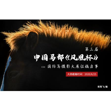 第三届中国马都《凤凰杯》国际马摄影大展