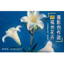 5月【特惠·静物篇】福州花卉摄影创作团