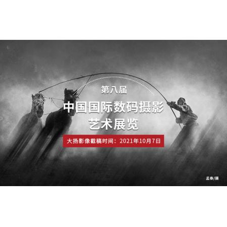 第八届中国国际数码摄影艺术展览