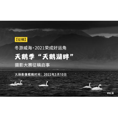 冬游威海·2021荣成好运角天鹅季“天鹅湖畔”摄影大赛